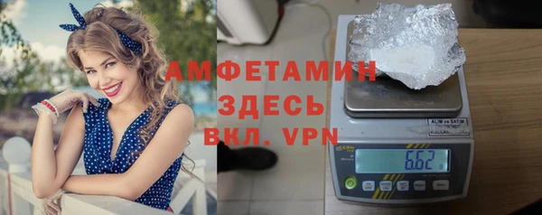 дмт Алзамай