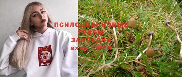 дмт Алзамай