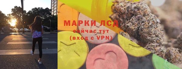дмт Алзамай