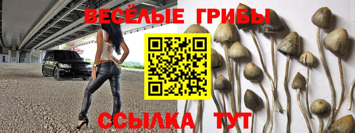 Кемерово  Галлюциногенные грибы MAGIC MUSHROOMS  Вход с VPN 