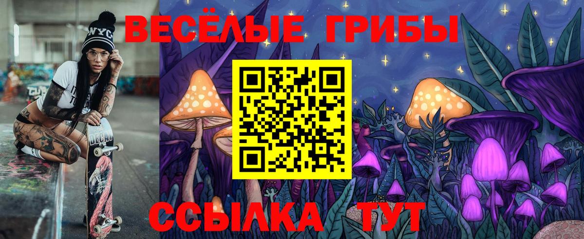 Галлюциногенные грибы Psilocybine cubensis Кемерово